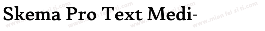 Skema Pro Text Medi字体转换